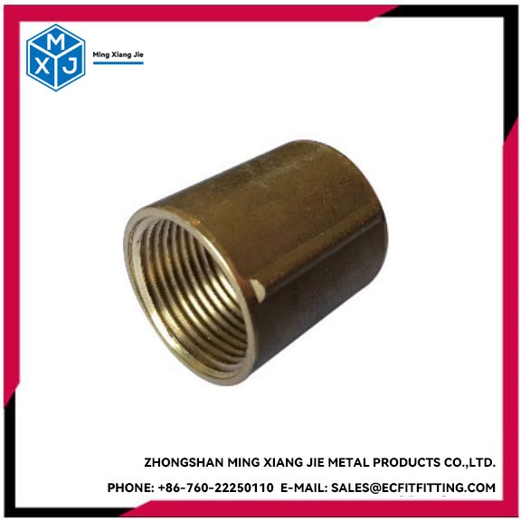 Coupler FI x FI Seri 313